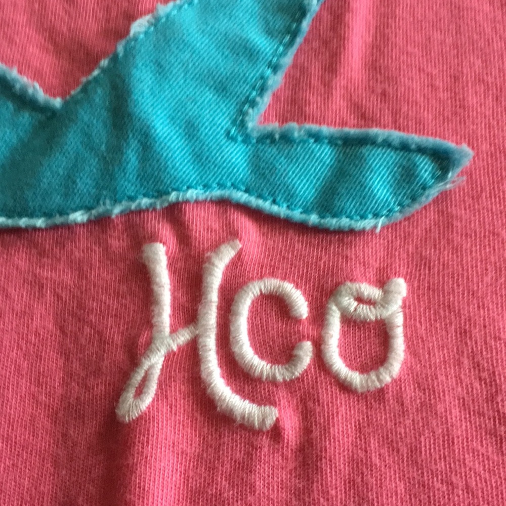 Hollister S/S pink t-shirt with blue bird & Hco across front Sz Medium - Picture 3 of 6